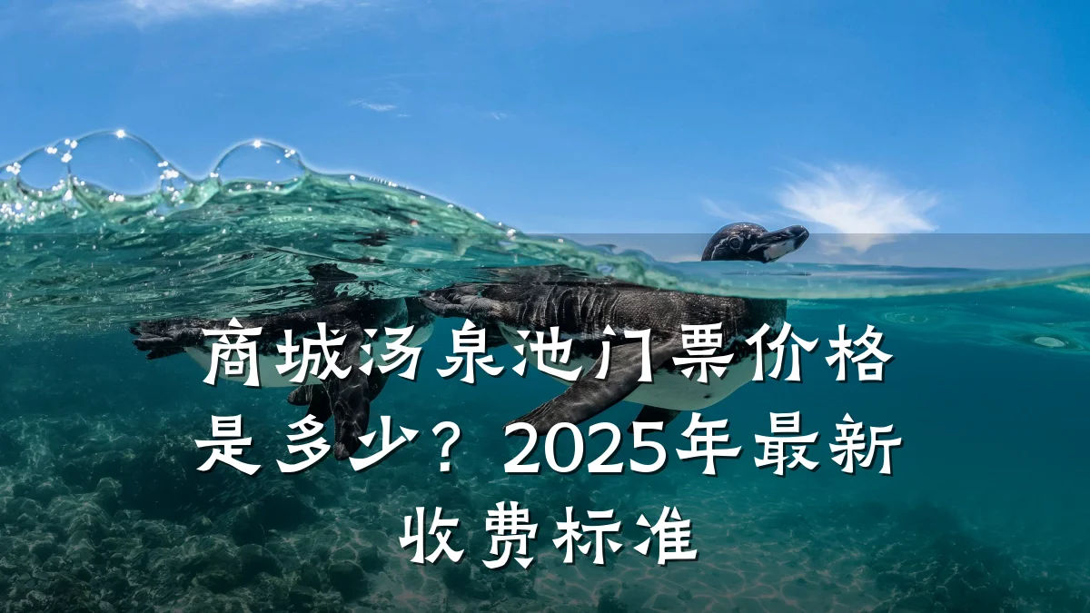 商城汤泉池门票价格是多少？2025年最新收费标准