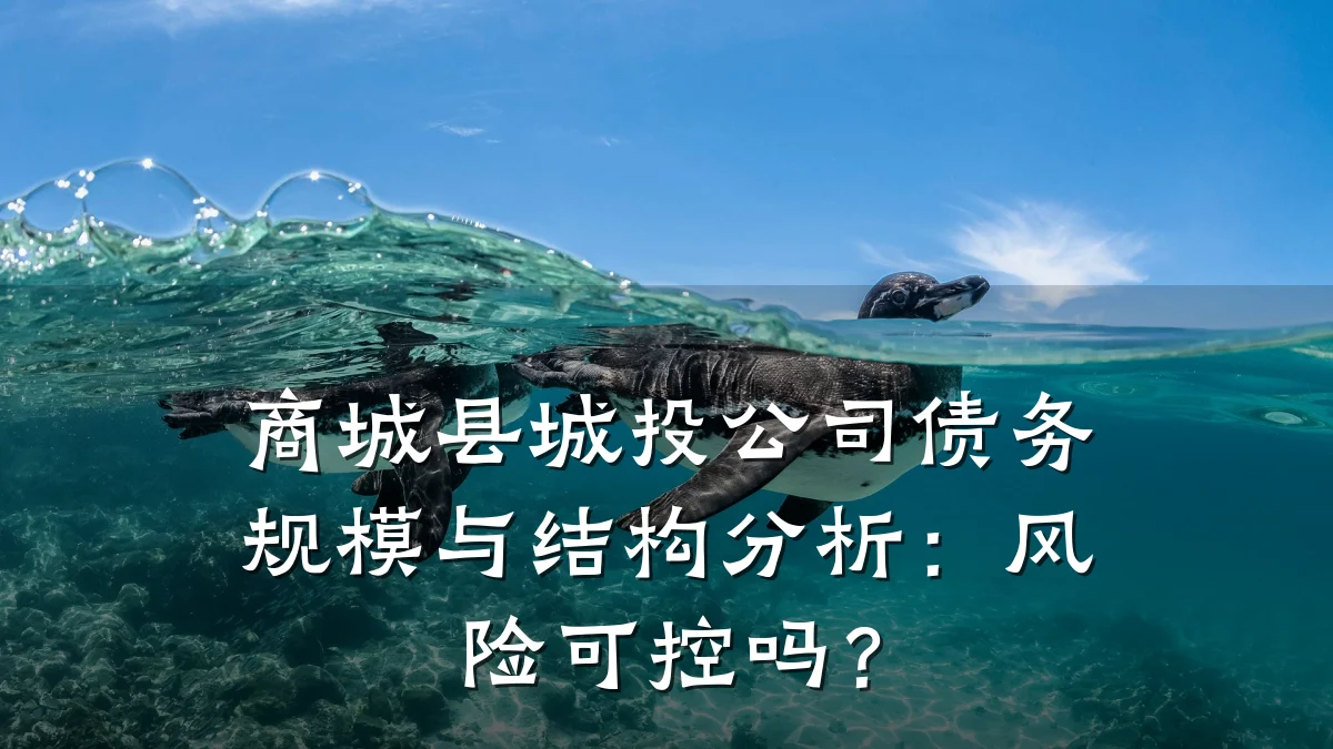 商城县城投公司债务规模与结构分析：风险可控吗？