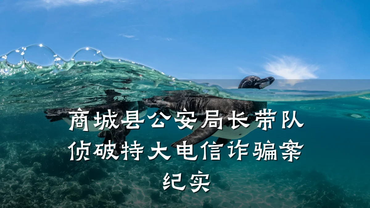 商城县公安局长带队侦破特大电信诈骗案纪实