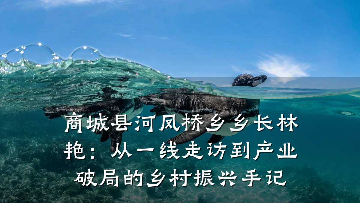 商城县河凤桥乡乡长林艳:从一线走访到产业破局的乡村振兴手记
