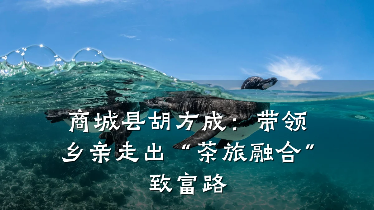 商城县胡方成：带领乡亲走出“茶旅融合”致富路