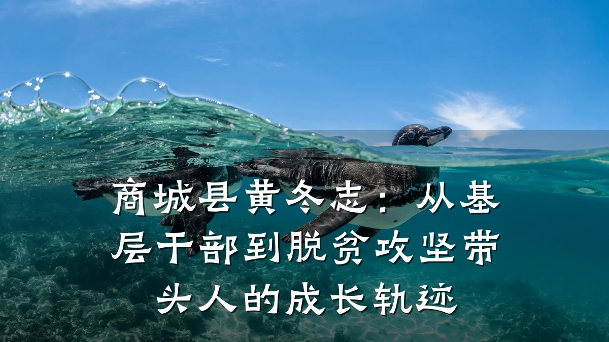 商城县黄冬志:从基层干部到脱贫攻坚带头人的成长轨迹