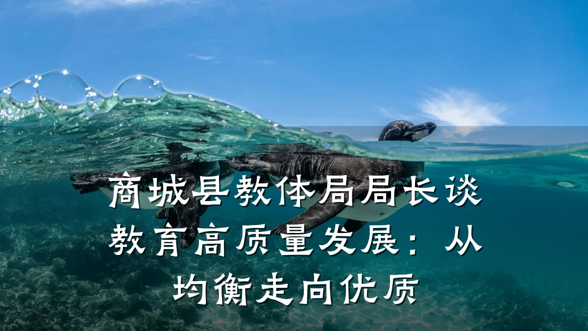 商城县教体局局长谈教育高质量发展：从均衡走向优质