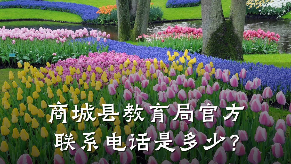 商城县教育局官方联系电话是多少？
