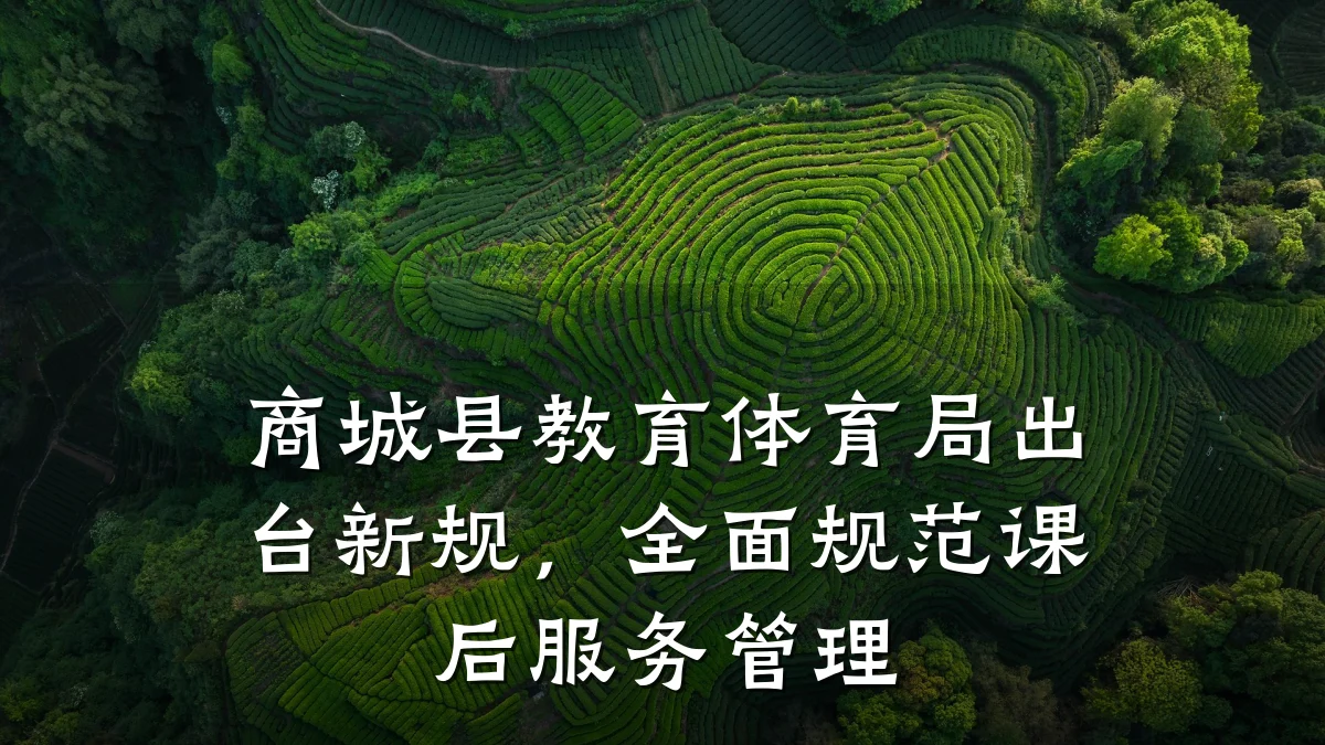 商城县教育体育局出台新规，全面规范课后服务管理