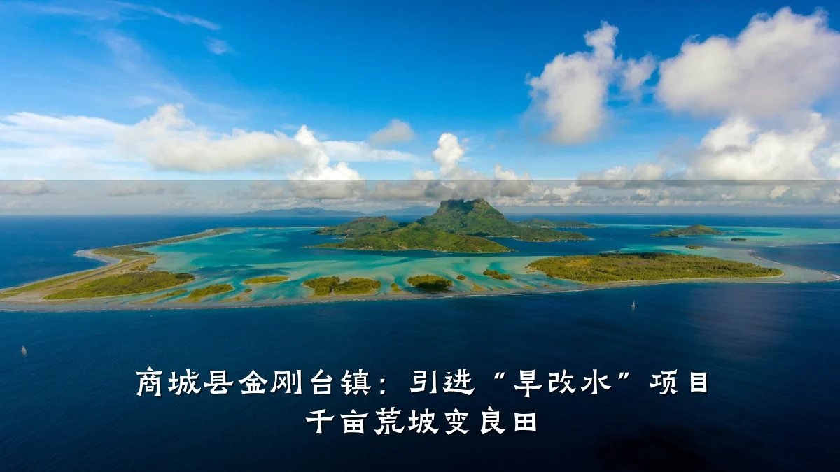 商城县金刚台镇：引进“旱改水”项目 千亩荒坡变良田