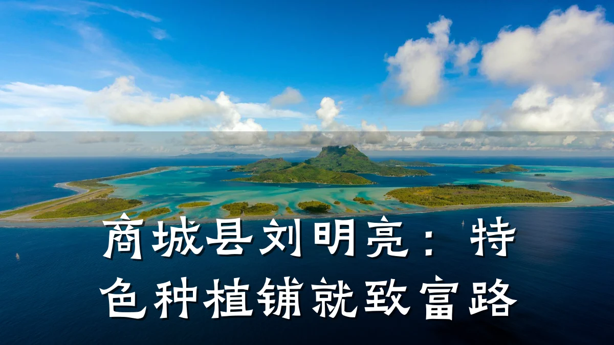 商城县刘明亮：特色种植铺就致富路