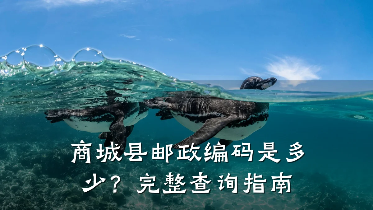 商城县邮政编码是多少?完整查询指南