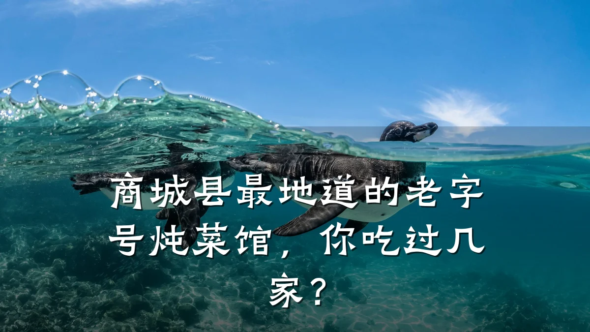 商城县最地道的老字号炖菜馆,你吃过几家?