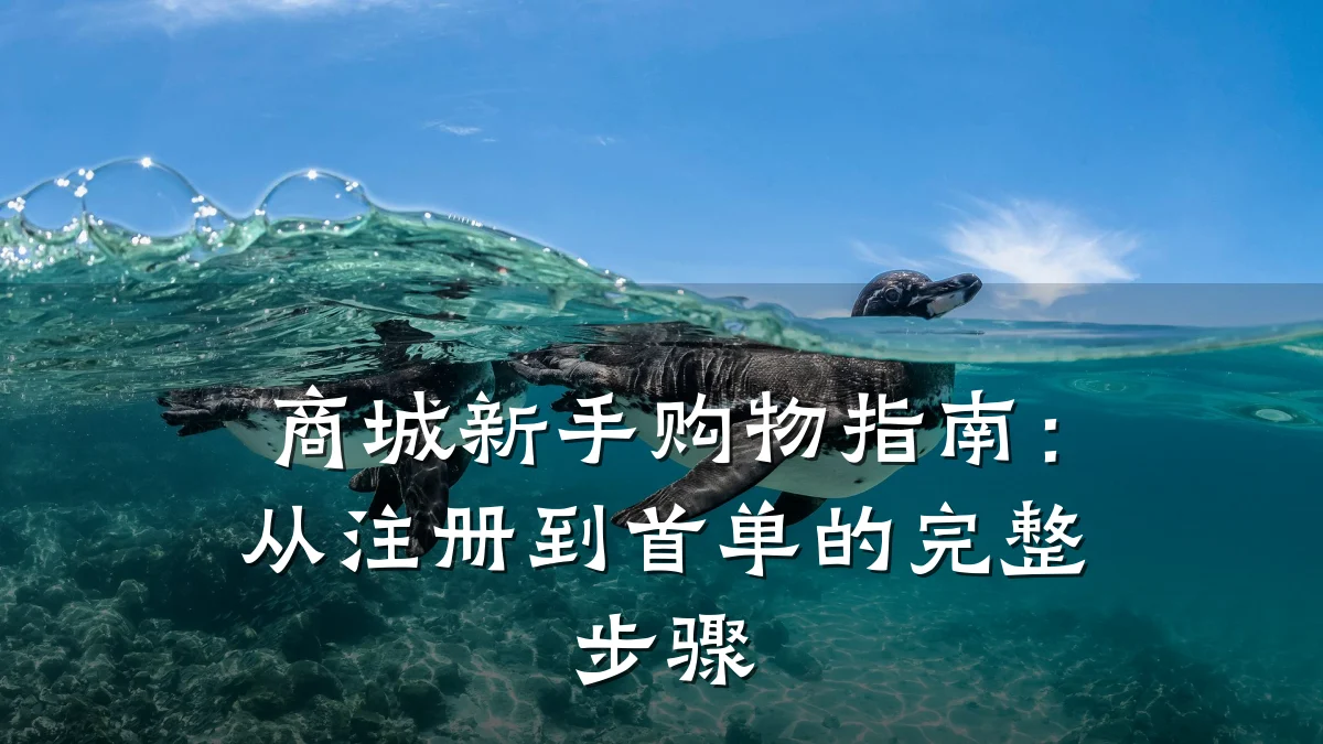 商城新手购物指南：从注册到首单的完整步骤