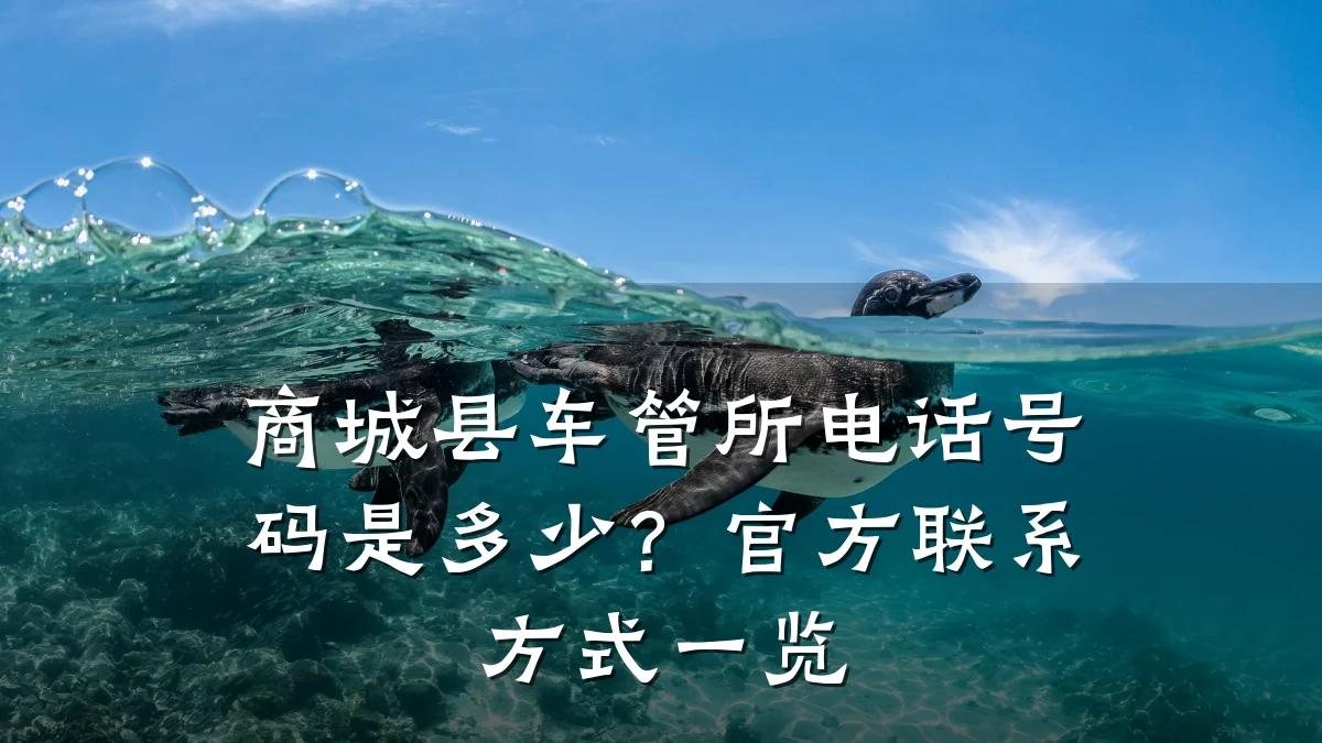 商城县车管所电话号码是多少?官方联系方式一览