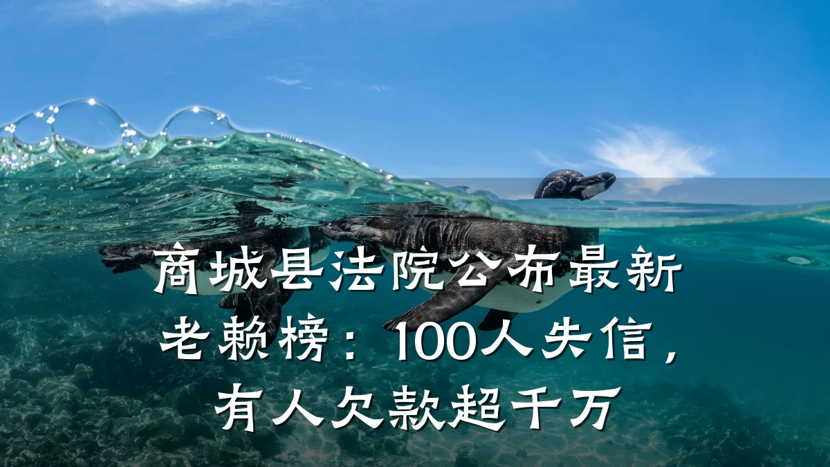 商城县法院公布最新老赖榜:100人失信,有人欠款超千万