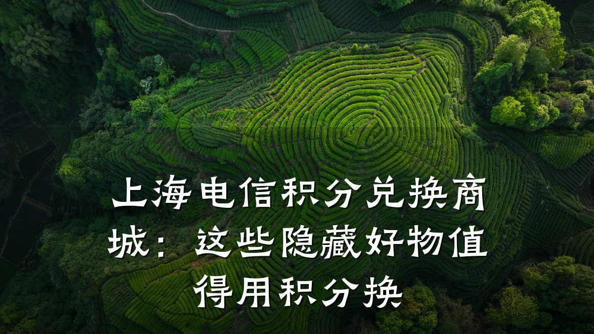 上海电信积分兑换商城：这些隐藏好物值得用积分换