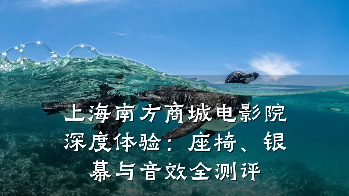 上海南方商城电影院深度体验:座椅、银幕与音效全测评