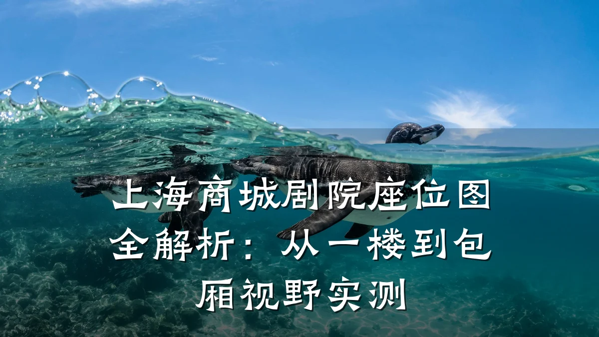 上海商城剧院座位图全解析：从一楼到包厢视野实测