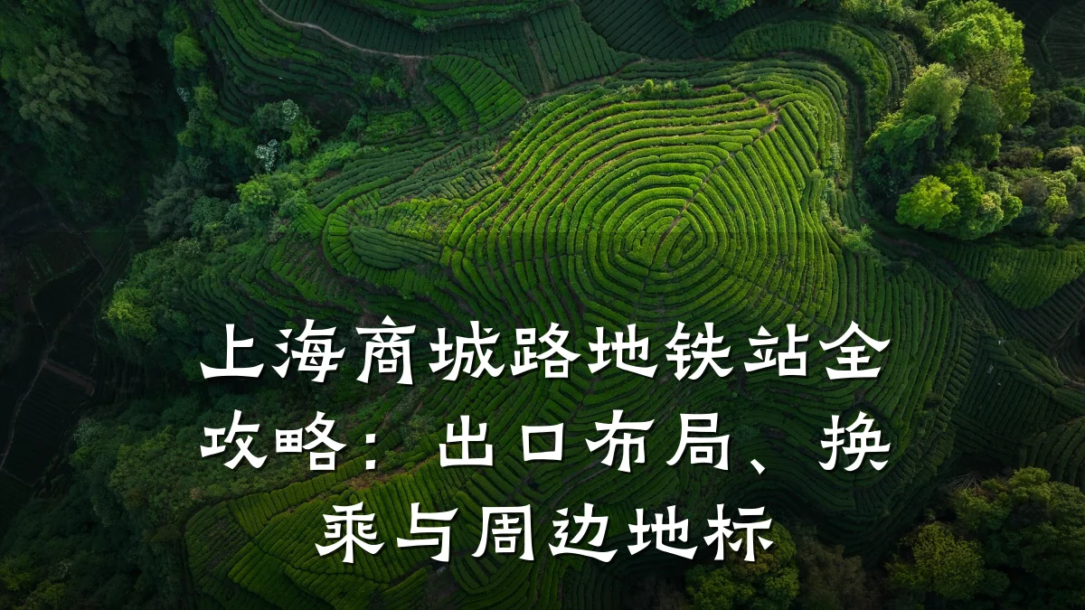 上海商城路地铁站全攻略：出口布局、换乘与周边地标