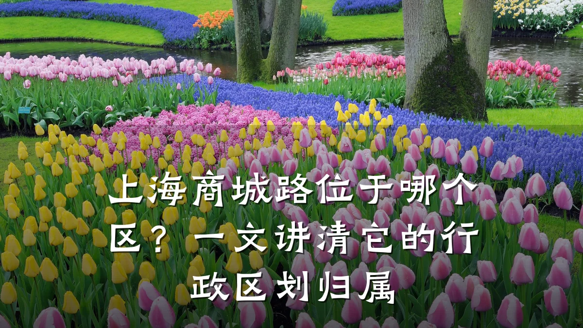 上海商城路位于哪个区?一文讲清它的行政区划归属