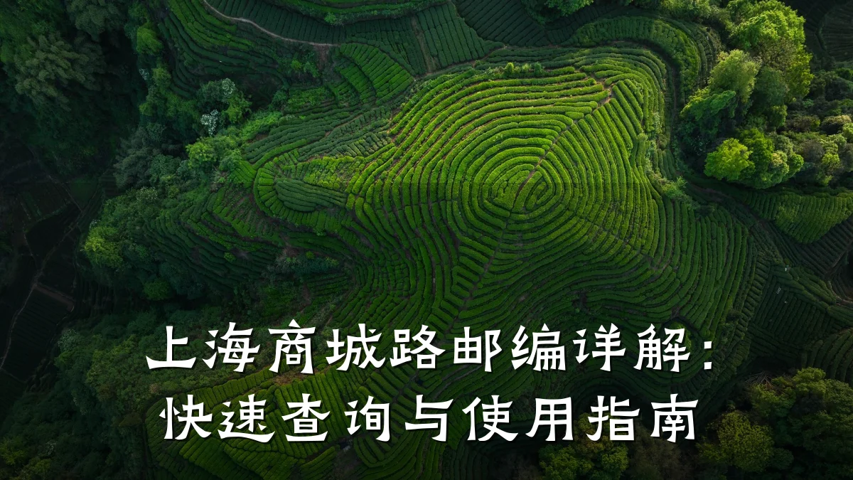 上海商城路邮编详解:快速查询与使用指南