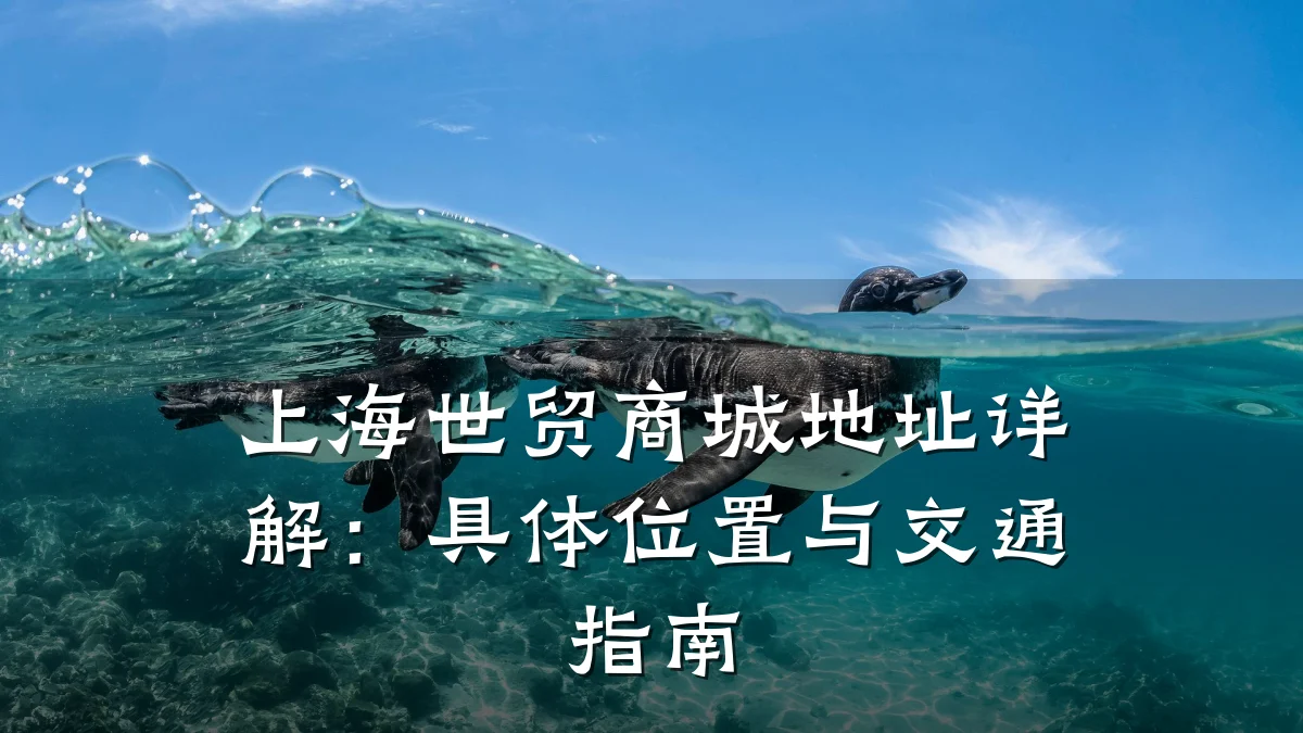 上海世贸商城地址详解：具体位置与交通指南