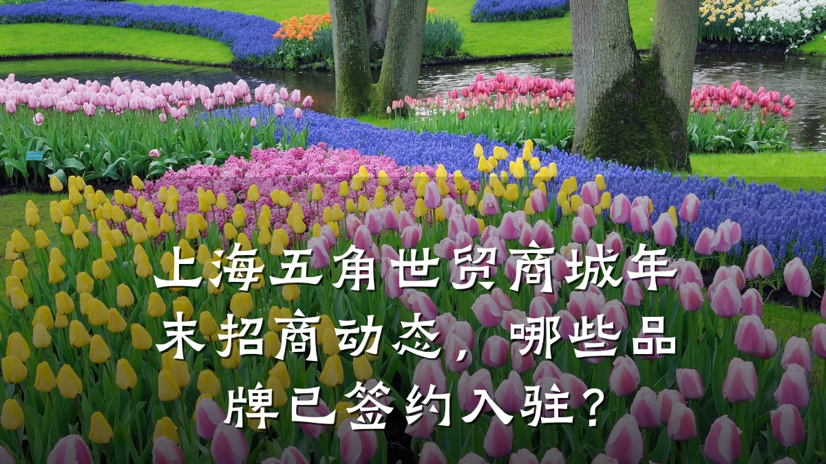 上海五角世贸商城年末招商动态，哪些品牌已签约入驻？