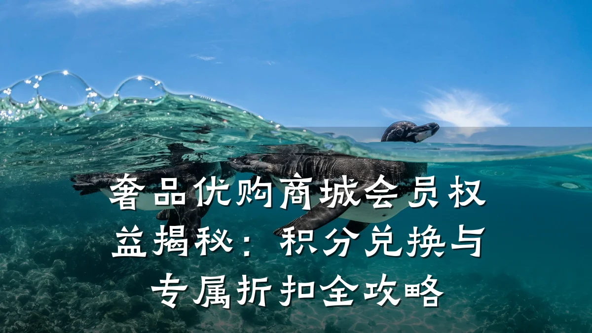 奢品优购商城会员权益揭秘：积分兑换与专属折扣全攻略
