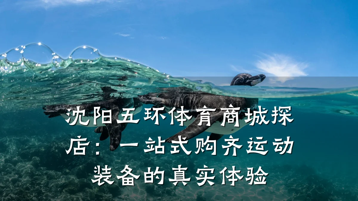 沈阳五环体育商城探店:一站式购齐运动装备的真实体验
