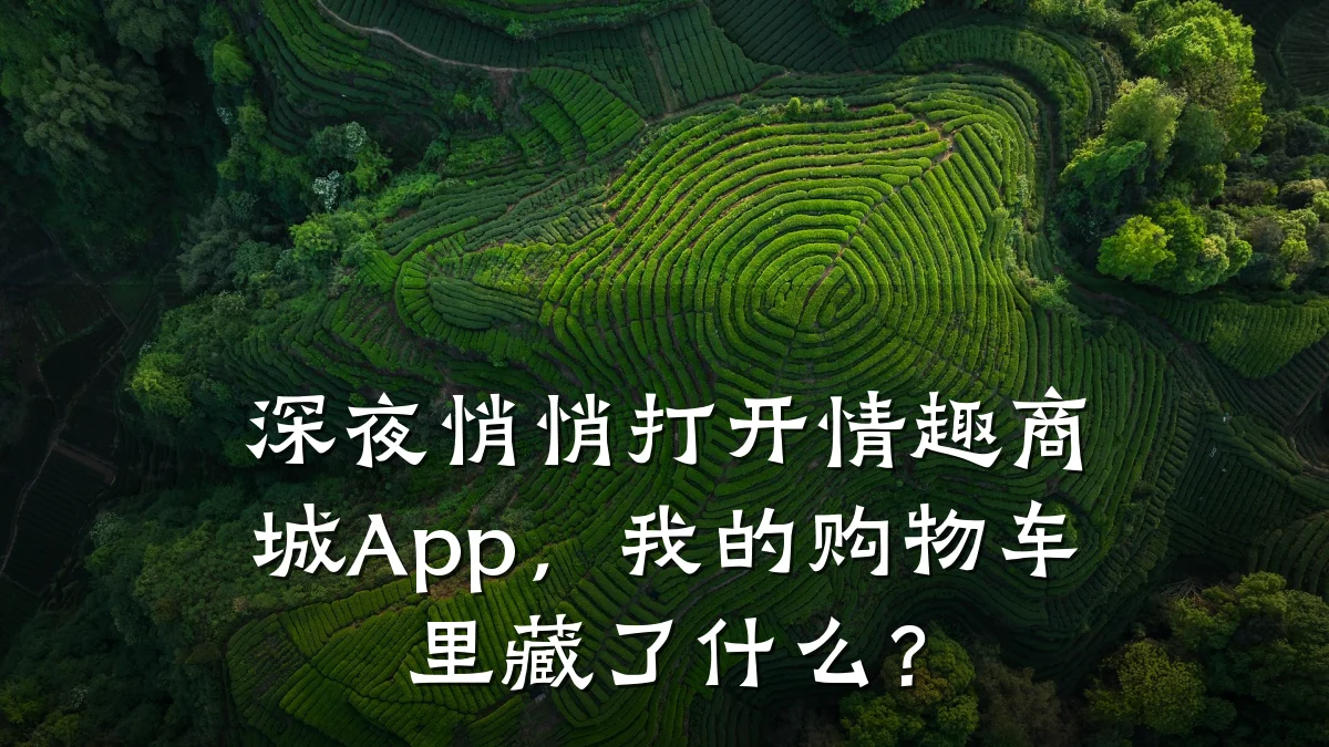 深夜悄悄打开情趣商城App，我的购物车里藏了什么？