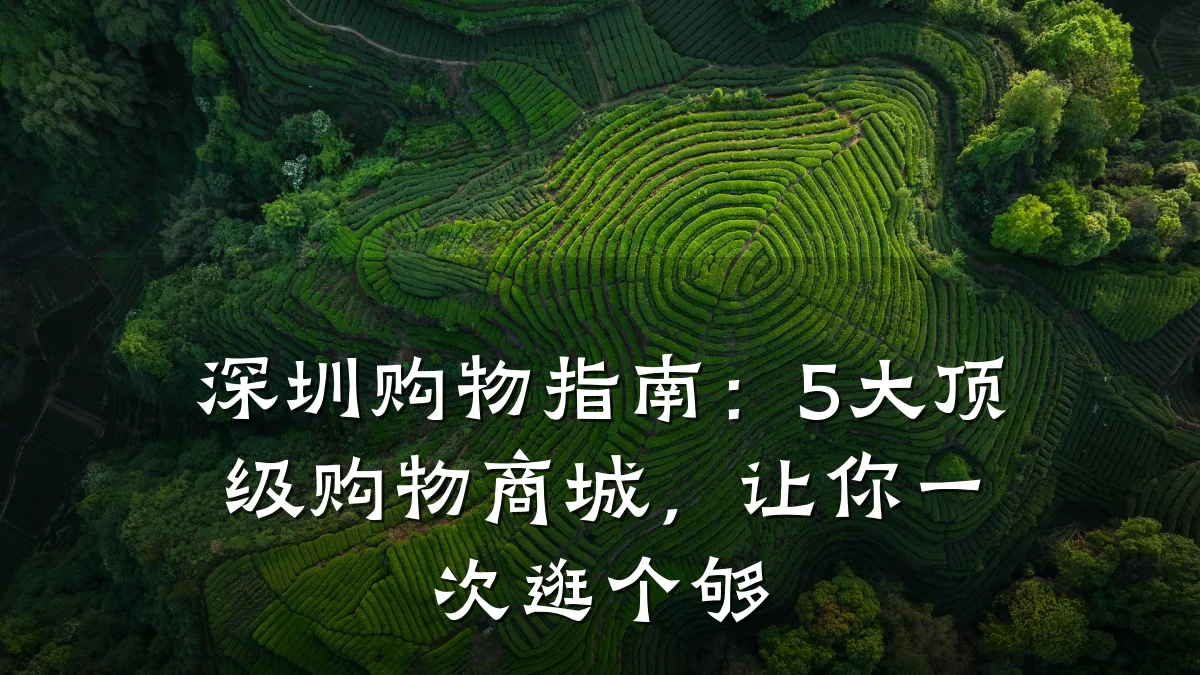 深圳购物指南：5大顶级购物商城，让你一次逛个够