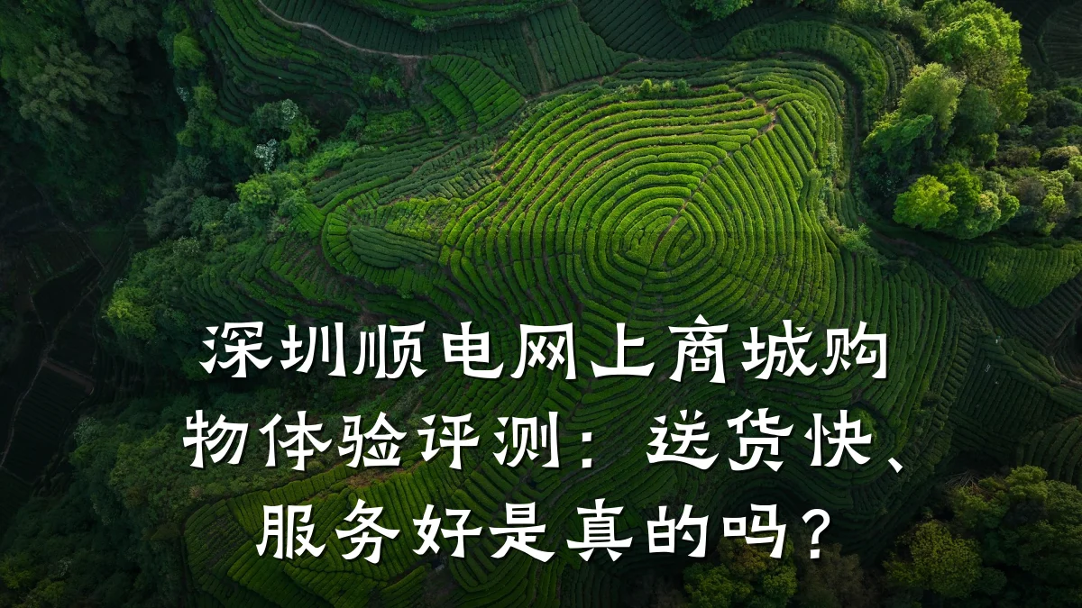 深圳顺电网上商城购物体验评测：送货快、服务好是真的吗？