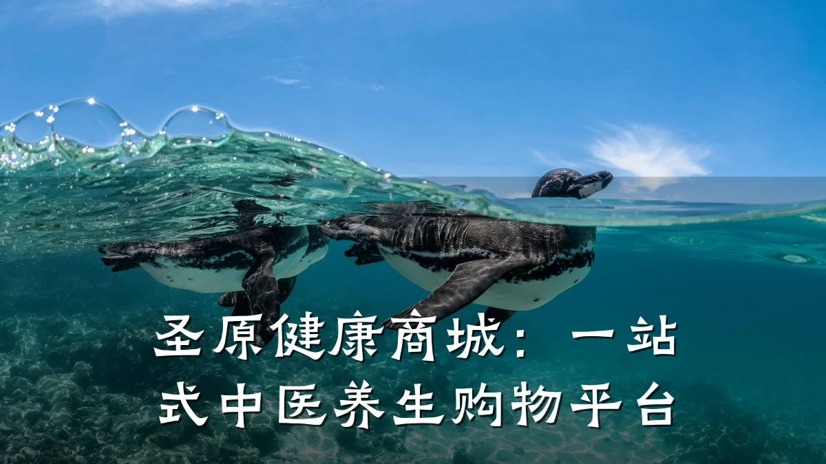 圣原健康商城：一站式中医养生购物平台