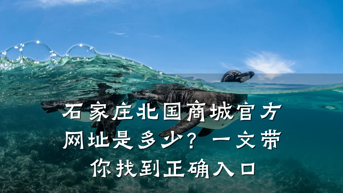 石家庄北国商城官方网址是多少?一文带你找到正确入口