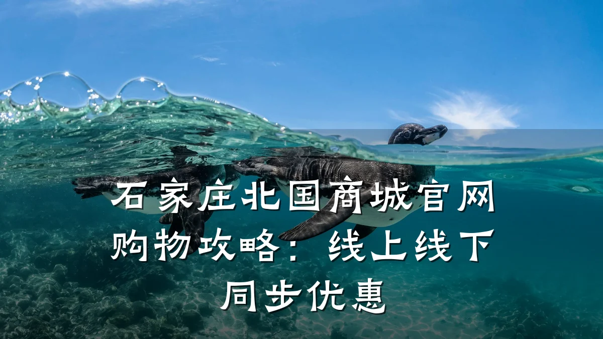 石家庄北国商城官网购物攻略：线上线下同步优惠