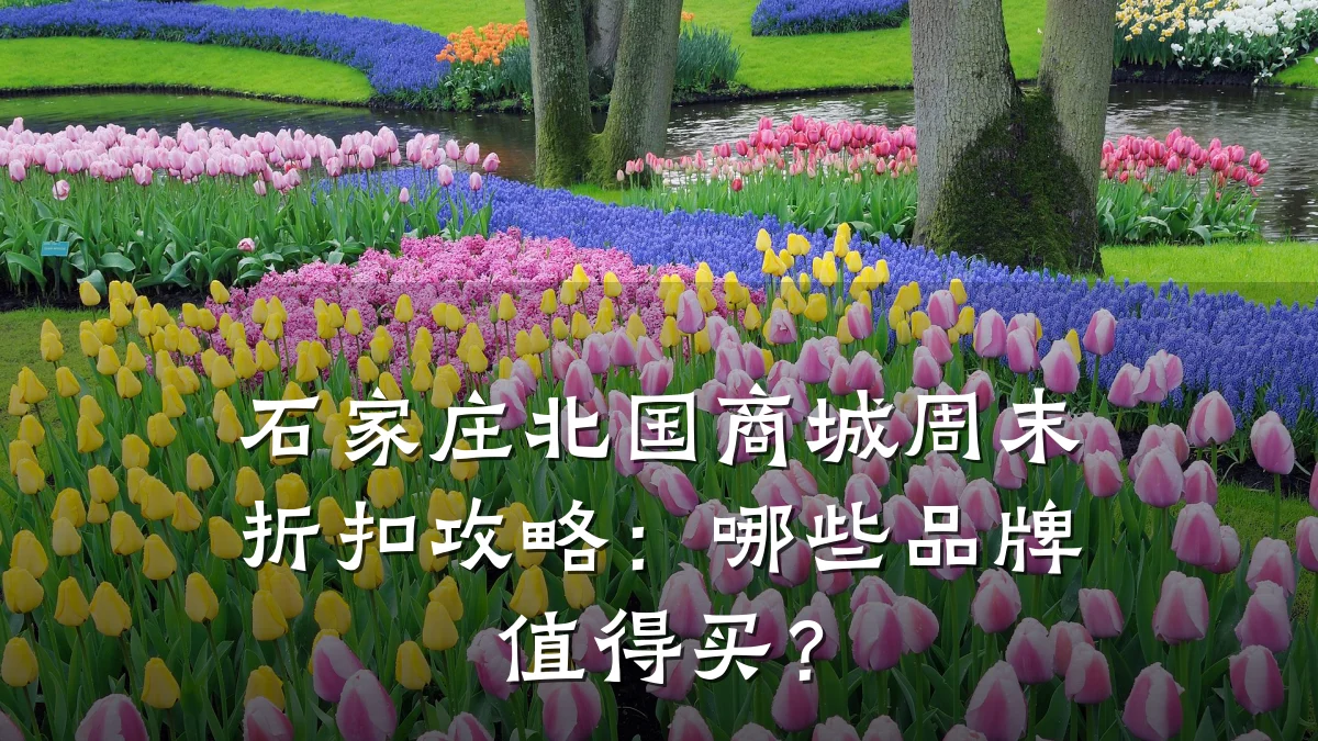石家庄北国商城周末折扣攻略：哪些品牌值得买？