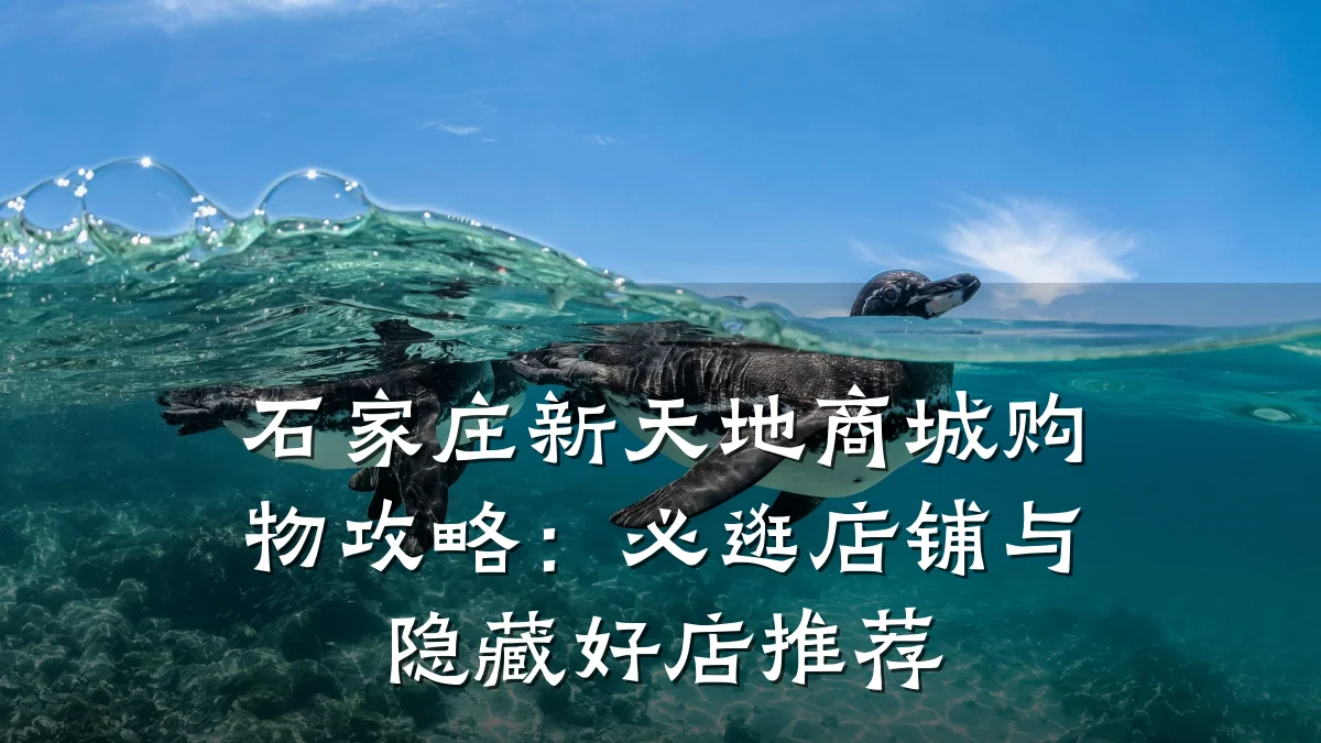 石家庄新天地商城购物攻略:必逛店铺与隐藏好店推荐
