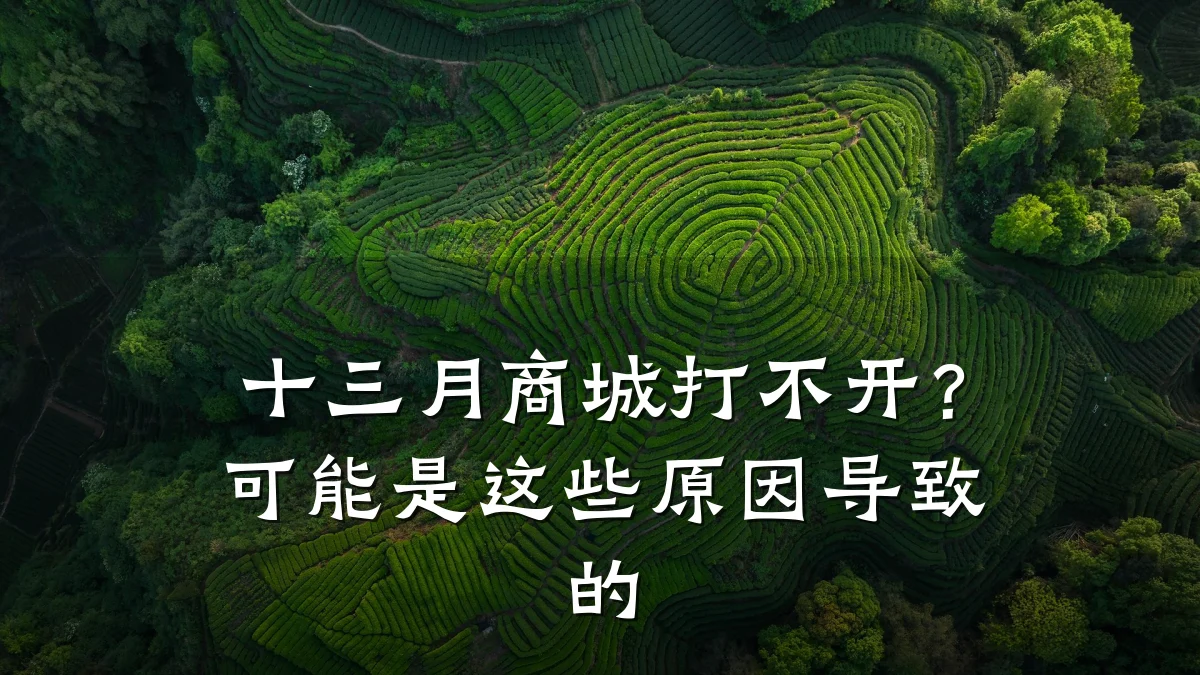 十三月商城打不开?可能是这些原因导致的