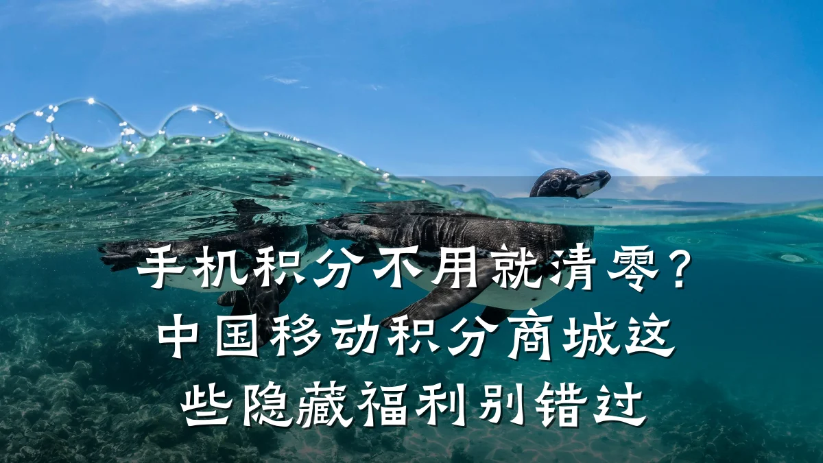 手机积分不用就清零?中国移动积分商城这些隐藏福利别错过