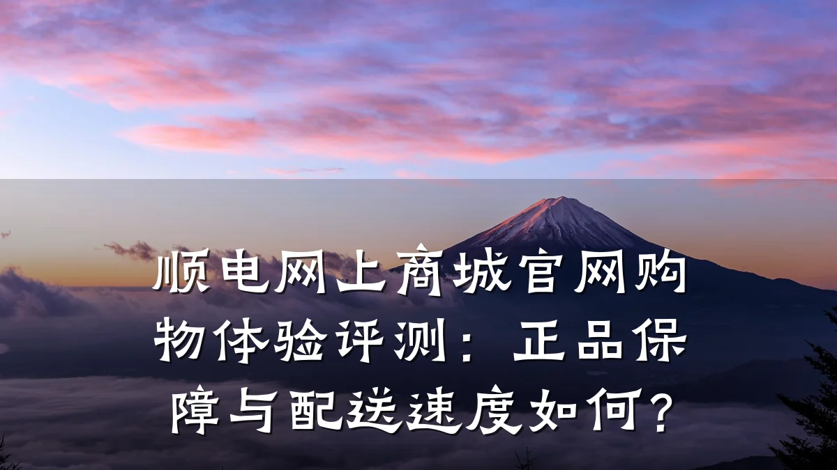 顺电网上商城官网购物体验评测:正品保障与配送速度如何?