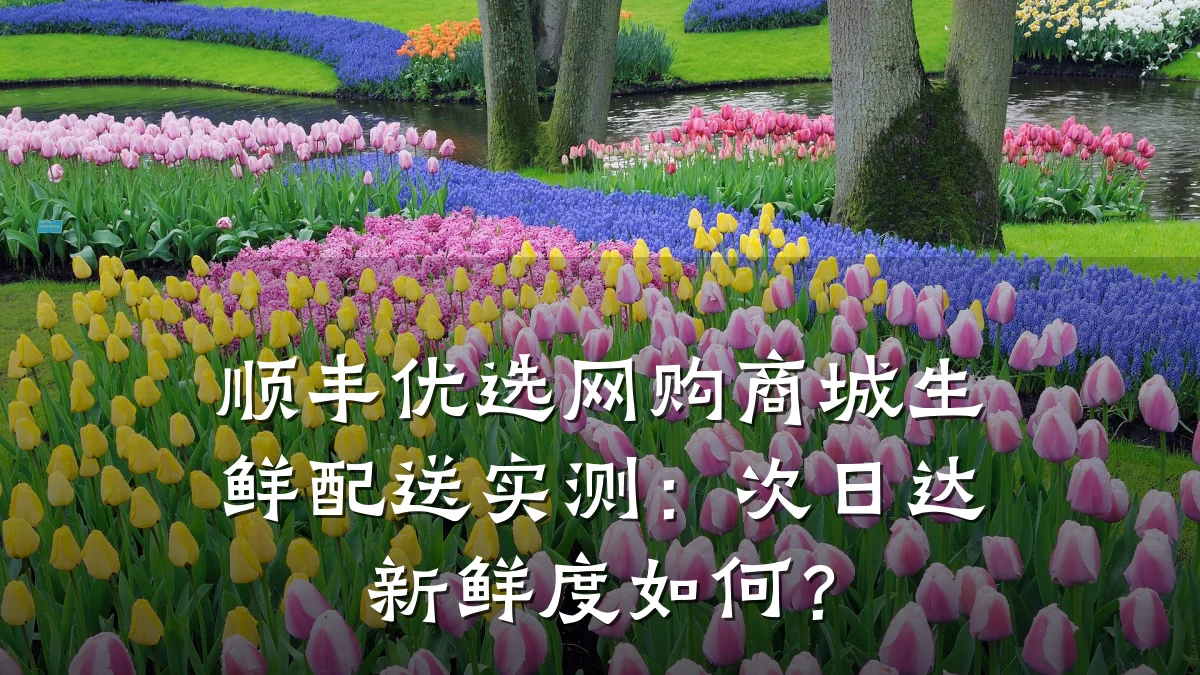 顺丰优选网购商城生鲜配送实测:次日达新鲜度如何?