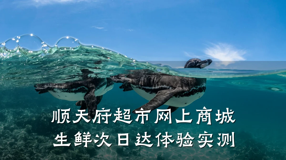 顺天府超市网上商城生鲜次日达体验实测