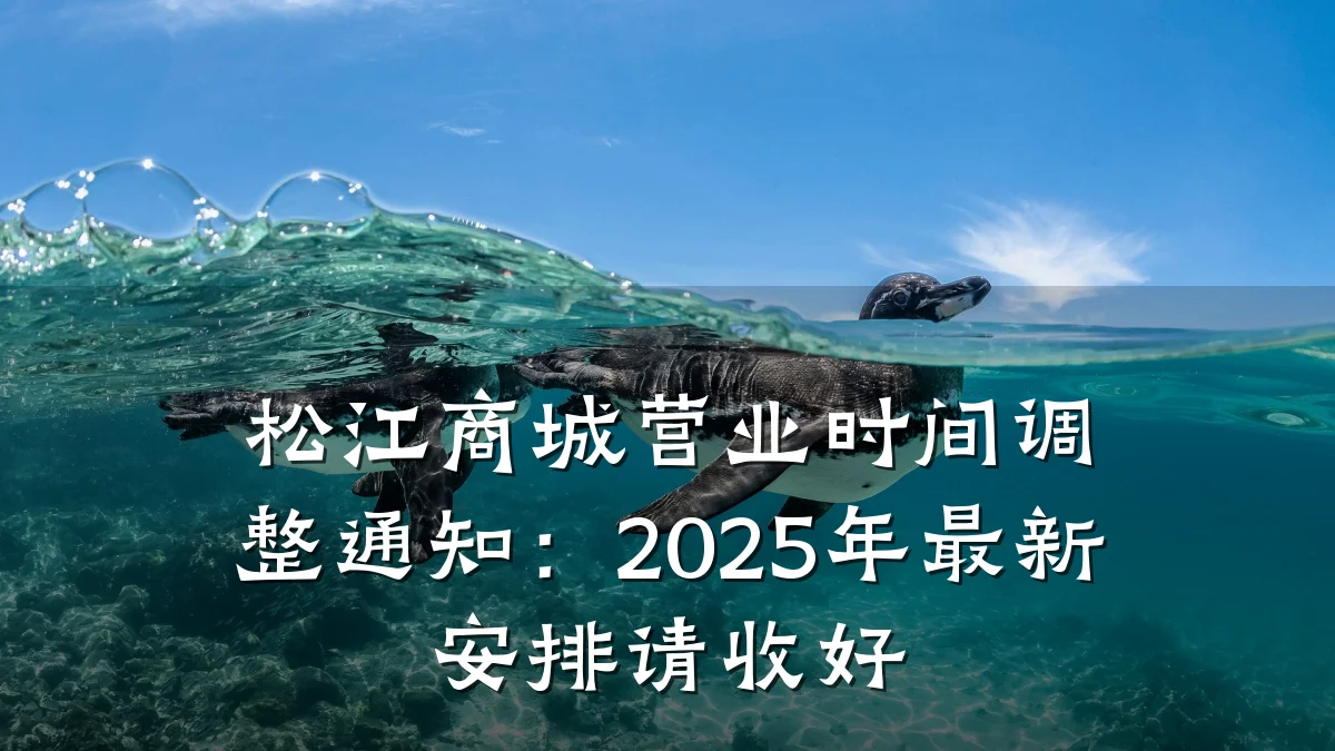 松江商城营业时间调整通知：2025年最新安排请收好