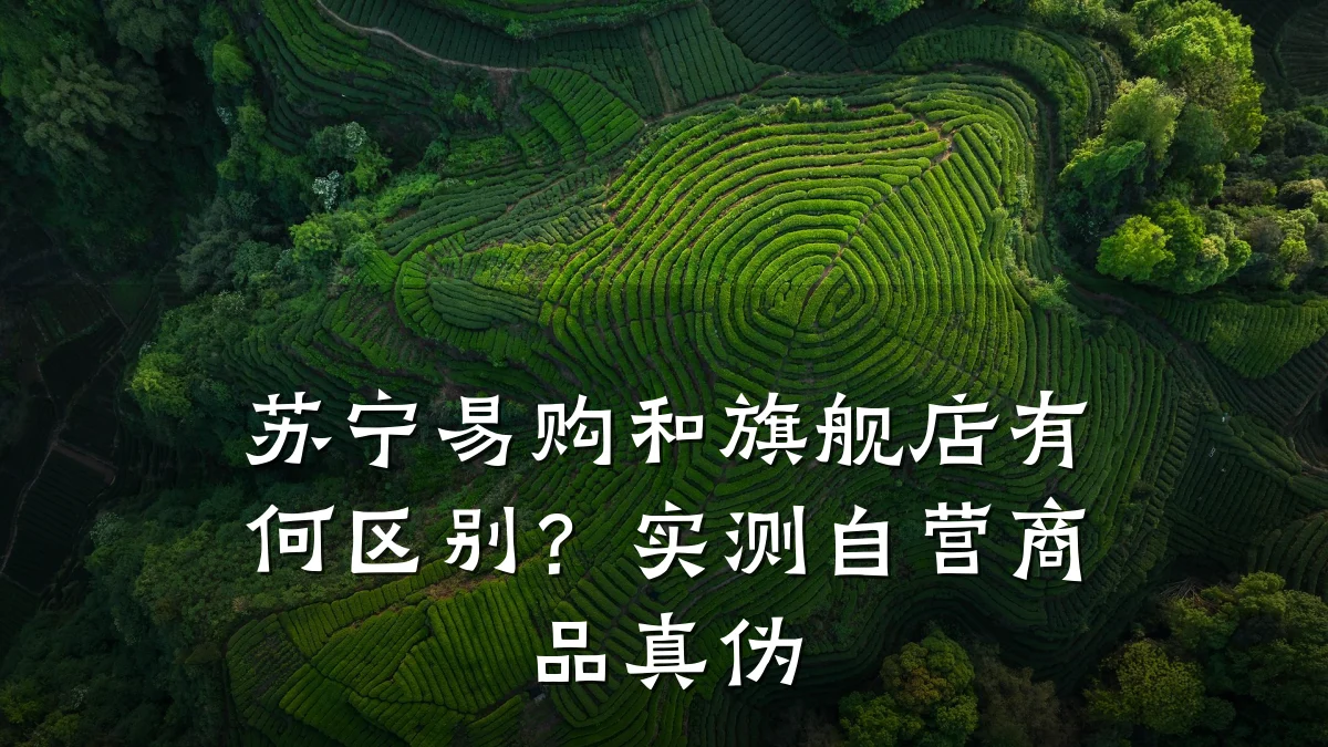 苏宁易购和旗舰店有何区别?实测自营商品真伪