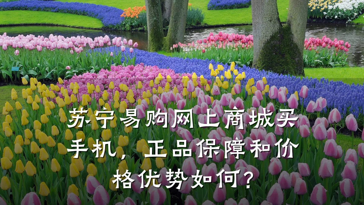苏宁易购网上商城买手机,正品保障和价格优势如何?