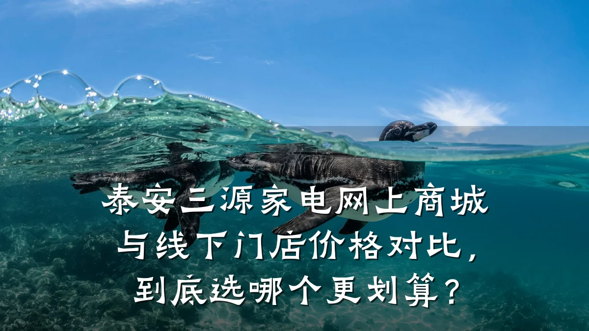泰安三源家电网上商城与线下门店价格对比,到底选哪个更划算?