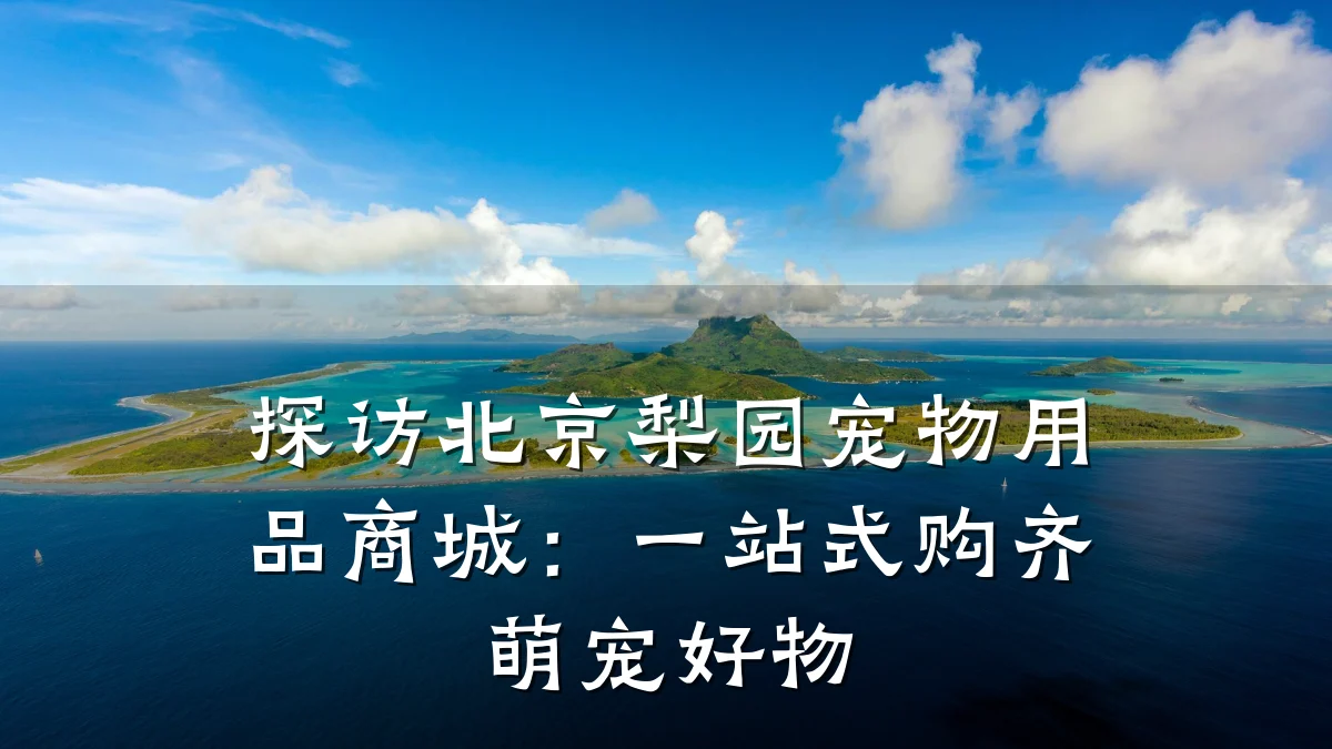探访北京梨园宠物用品商城:一站式购齐萌宠好物