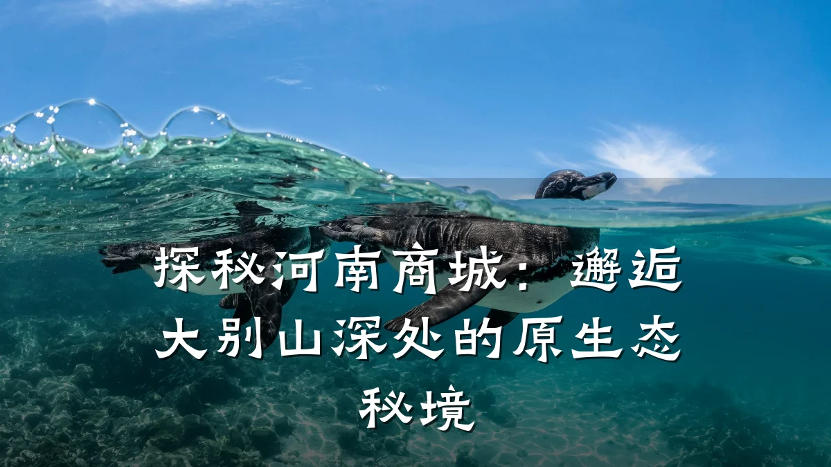 探秘河南商城：邂逅大别山深处的原生态秘境