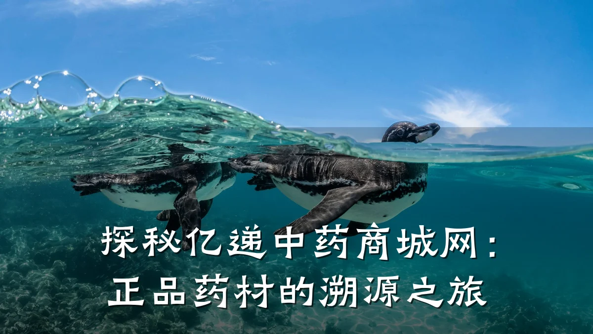 探秘亿递中药商城网：正品药材的溯源之旅