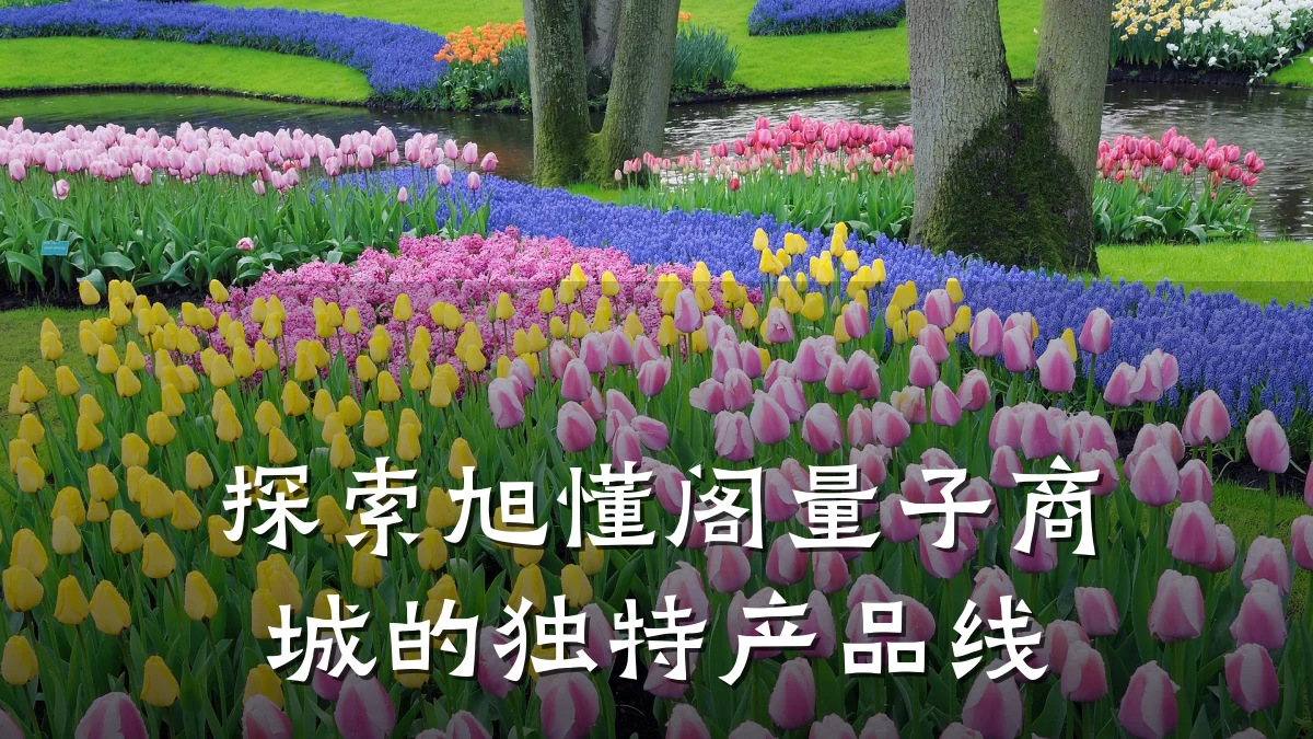 探索旭懂阁量子商城的独特产品线