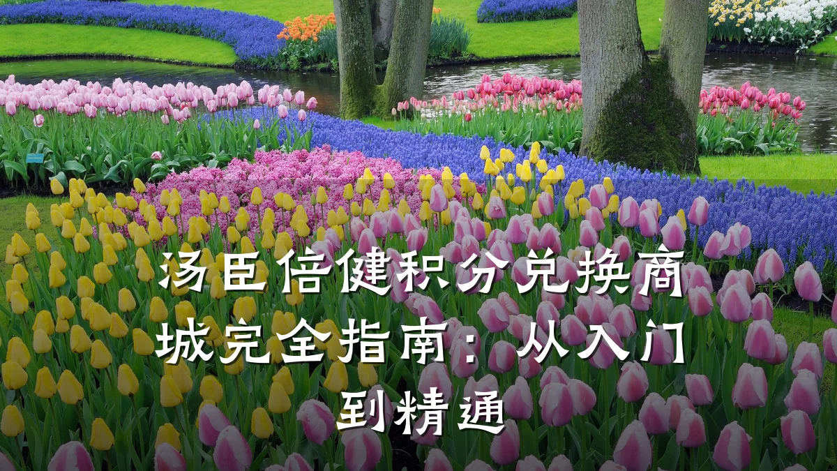 汤臣倍健积分兑换商城完全指南:从入门到精通