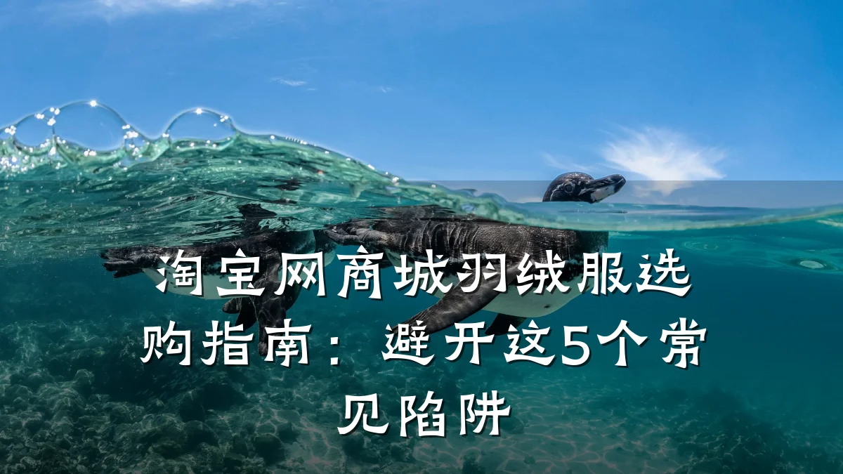 淘宝网商城羽绒服选购指南：避开这5个常见陷阱