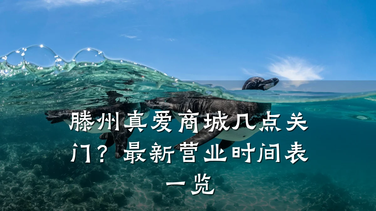 滕州真爱商城几点关门？最新营业时间表一览